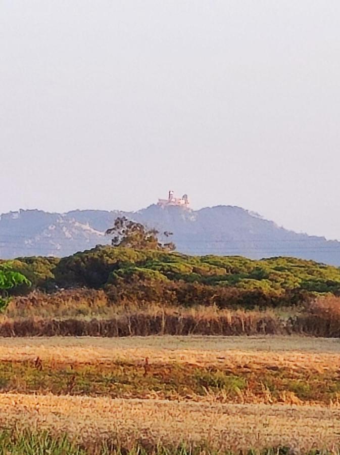 Sintra Home מראה חיצוני תמונה