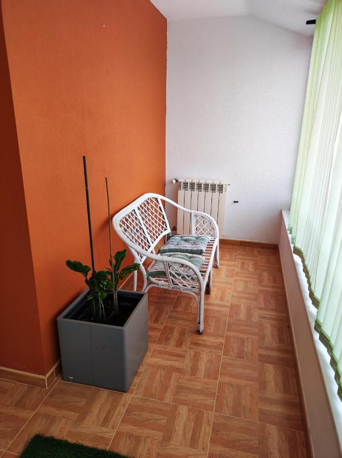 Sintra Home מראה חיצוני תמונה